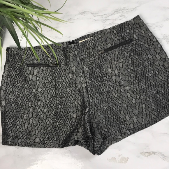 Sans Souci Pants - Sans Souci | Zipper Snake Skin Shorts